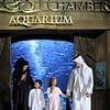Explore DubaiâS Lost Chambers Aquarium: Tickets For One, Two, Or Four Dubai - Image 18